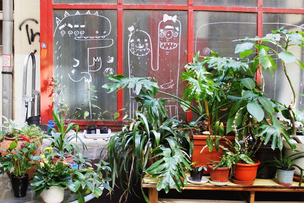 Dbc Hostel Budapest Bagian luar foto